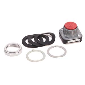 Allen Bradley 800T-A6D2R 30mm Momentary Push Button 800T PB