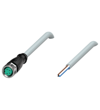 Pepperl+Fuchs V31-GM-5M-PVC Female cordset single-ended M8 straight A-coded, 4-pin, PVC cable grey