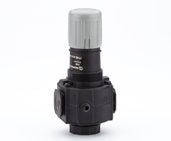 Norgren V74G-6GK-NMN Excelon pressure relief valve, G3/4, 03-10 bar, without gauge Turkiye