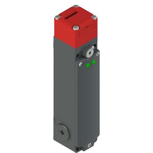 Pizzato FG 60AD1D1A FG series safety switch with separate actuator with lock Turkiye