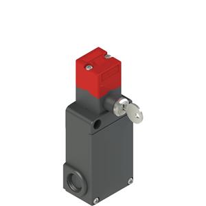 Pizzato FS 1898D024-M2 FS series safety switch with separate actuator with lock Turkiye