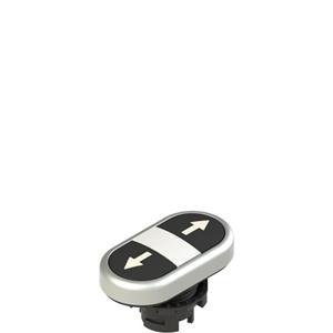 Pizzato E2 1PDRL9AAAB Double lower flush pushbutton, with marking