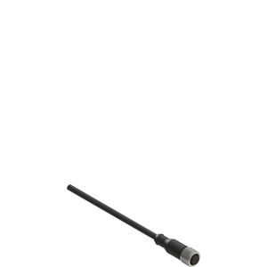 Pizzato VF CA4PD3M M12 female wired connector: straight, 4 poles, 3 m cable Turkiye