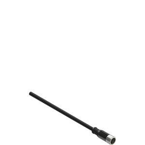 Pizzato VF CA4PD3K M8 female wired connector: straight, 4 poles, 3 m cable