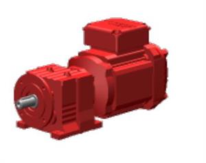 Dopag 1022506 Spur gear motor 055kW Turkiye