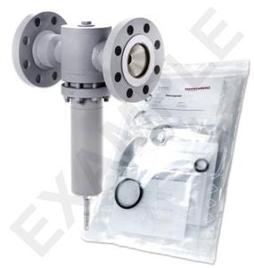 Mankenberg 6621429LA-101 WS Maintenance Kit WS/DM620-65-FA08-250-D083-4,5-ST-YE-E29-E71 | Turkiye