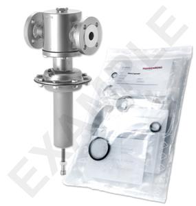 Mankenberg 6526069UA-101 WS Maintenance Kit WS/DM512-25-FA04-40-D042-0,25-V1-YX-E81-E87 |