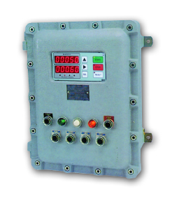 Seneca S21N1EX Batch controller clock based in EExd case Turkiye