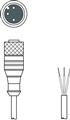 Leuze KD U-M12-3A-P1-100 Bağlantı kablosu
