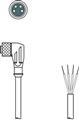 Leuze KD U-M8-4W-P1-100-DP Bağlantı kablosu