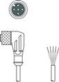 Leuze KD U-M12-5W-V1-020-3DP Bağlantı kablosu