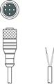 Leuze KD PB-M12-4A-P3-020 Bağlantı kablosu