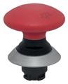 Schmersal NDRZ50GR/RT