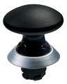 Schmersal NDRZ50GR/SW