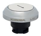 Schmersal EX-RDTWS/101D
