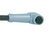 Schmersal A-K6P-M8-R-W-5M-GY-1-X-A-4