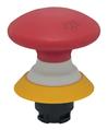 Schmersal NDRR50RT-2905-1