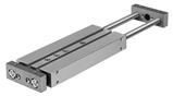 Festo DPZJ-32-80-P-A-S2 İkiz Silindir