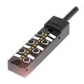 Balluff BPI 6M304P-5K-B0-KPXE0-050 Bağlantı blokları