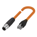 Balluff BCC M414-E894-8G-672-ES34N9-600 Çift uçlu kablo setleri
