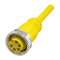 Balluff BCC A315-0000-10-063-VX45W6-300 Tek uçlu kablo setleri
