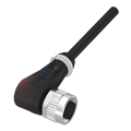 Balluff BCC M425-0000-1A-003-PH0434-100 Tek uçlu kablo setleri