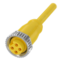 Balluff BCC A314-0000-10-003-EX44W6-100 Tek uçlu kablo setleri