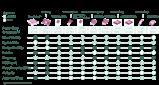 Infineon OBC_DCDC SAMPLE KIT