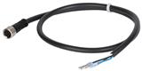 Euchner C-M08F04-04X025PV50,0-ES-097100 Connecting cable with plug connector M8, 50 m