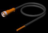 Euchner C-M12F05-05X034PU25,0-MA-124054 Connecting cable with straight plug connector M12, 5-pin, 25 m