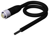 Euchner C-M12F08-07X025PV10,0-MA-099633 Connecting cable with plug connector M12, 8-pin, 10 m