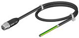 Euchner C-M12M05-05X034PV20,0-MA-123442 Connecting cable with plug connector M12, 20 m
