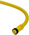 Euchner C-MINF12-12X1,0PU15,2-MA-102525 Connecting cable with plug connector MR12, 12-pin, 152 m