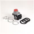 Allen Bradley 800TC-B2B 30mm Momentary Push Button 800T PB