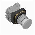 Allen Bradley 800TC-FXNQ24WA 800T PB