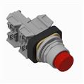 Allen Bradley 800T-QBH2RG1R 30mm Momentary Push Button 800T PB