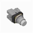 Allen Bradley 800T-QBH2WD1Y 30 mm Momentary Push-Button 800T PB