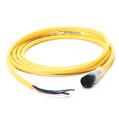 Allen Bradley 889D-B4JB-2 DC Micro Cable