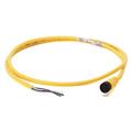 Allen Bradley 889D-R5FCDM-J80 DC Micro Cable