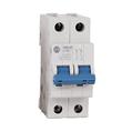 Allen Bradley 1492-SPM2C320 Supplementary Protectors