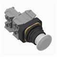 Allen Bradley 800H-FRXMQH2WG1V 800H PB
