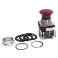 Allen Bradley 800T-QM24R 30mm Momentary Push Button 800T PB