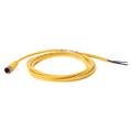 Allen Bradley 889DS-F4BC-5 DC Micro Cable