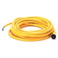 Allen Bradley 889N-F4AFNM-7 Mini Cable