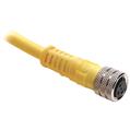 Allen Bradley 889P-F3JBPM-5 Pico Cable