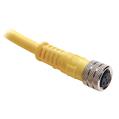 Allen Bradley 889P-F4ABDM-1 889 Pico Cable