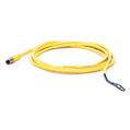 Allen Bradley 889P-M3UB-2 Pico Cable