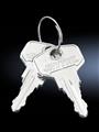 Rittal SZ 7526.050 SZ Spare key, For locking 12321