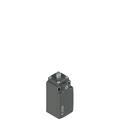 Pizzato FR 501-M2 Position switch with plunger