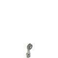 Pizzato VN A00KF-R24 Adjustable straight metal revolving lever with steel roller, Ø 20 mm, with self-lubrication